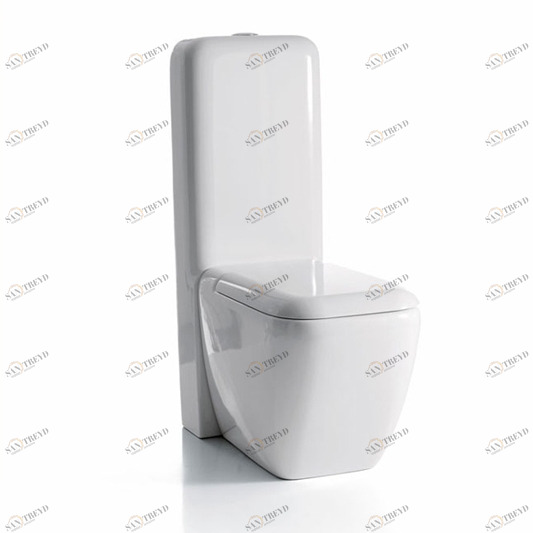 SHVASHCM Компакт унитаз с бачком Белый Ceramica Cielo SHUI Италия