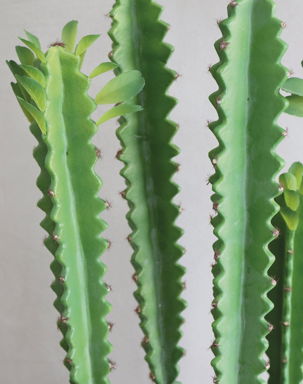 6063 883 a3 Молочай искусственный тригона, горшечный, 100 см, зеленый H-andreas 