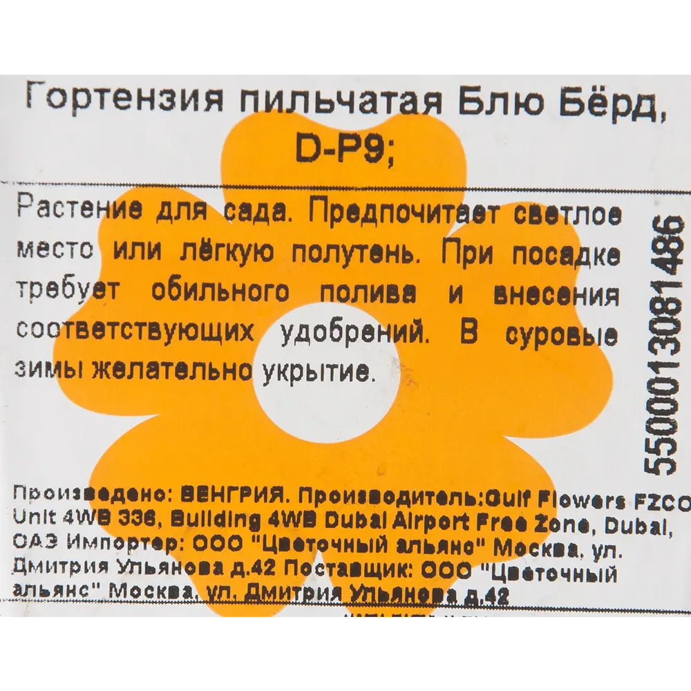 Гортензия пильчатая Блюбёрд, P9 15711331 STLM-2139993 Santreyd  - Вид №2