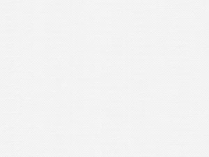 COLORISTICA 2541-10 Портьерная ткань  Тюль  LaVita