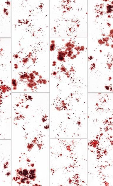 Danilo Ramazzotti Внутренняя облицовка майоликой Inchiostro simpatico Is6 - Вид №2