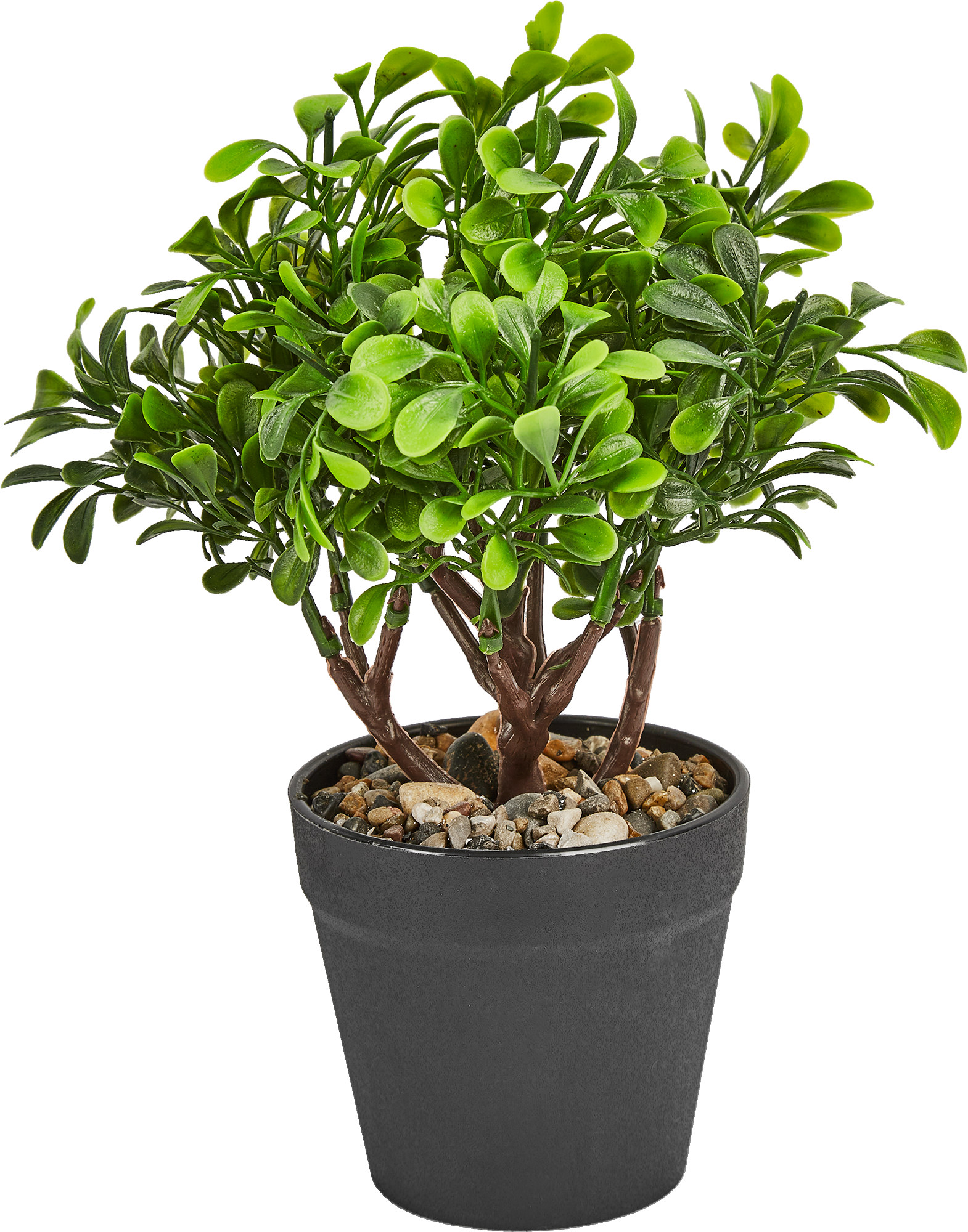 85852577 Искусственное растение крассула h22 см ПВХ разноцветный STLM-0065639 Santreyd 