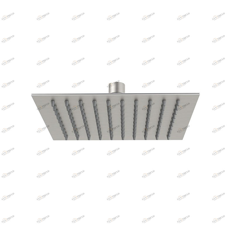 SSA579 Лейка для душа DANIEL RUBINETTERIE 