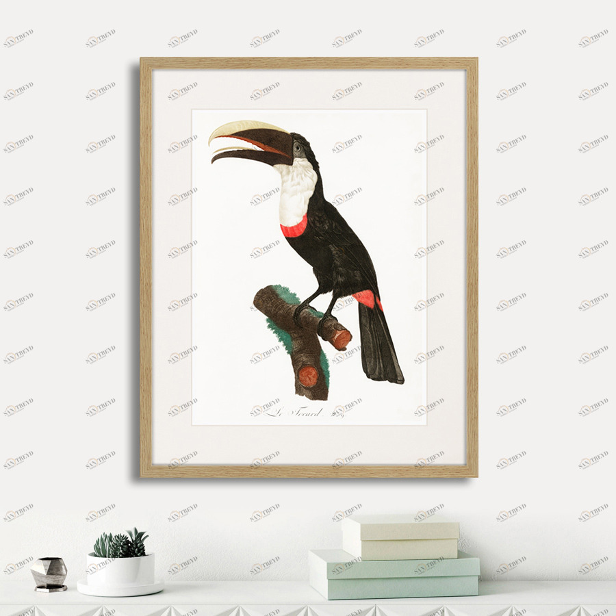 Картина: Beautiful toucans №2, 1806г. КАРТИНЫ В КВАРТИРУ  264322 Разноцветный 