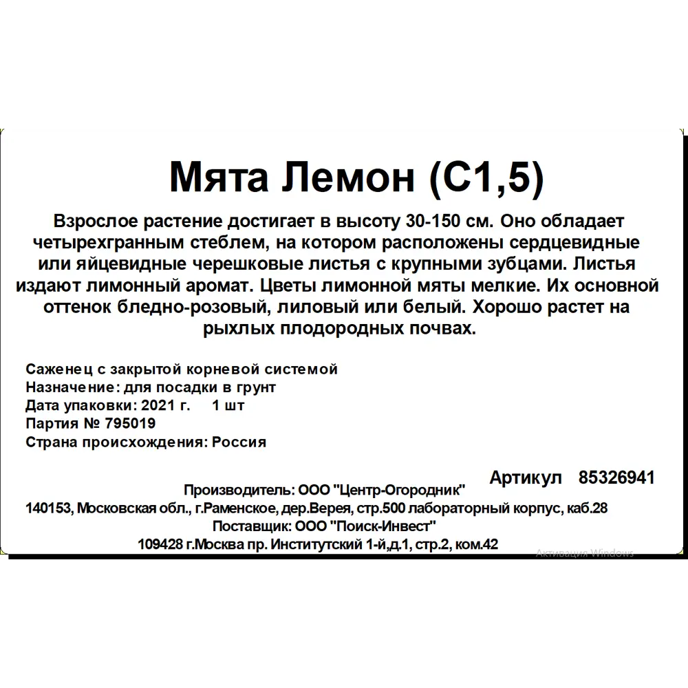 Мята Лемон ø15 h20 см 85326941 STLM-2148322 Santreyd  - Вид №2