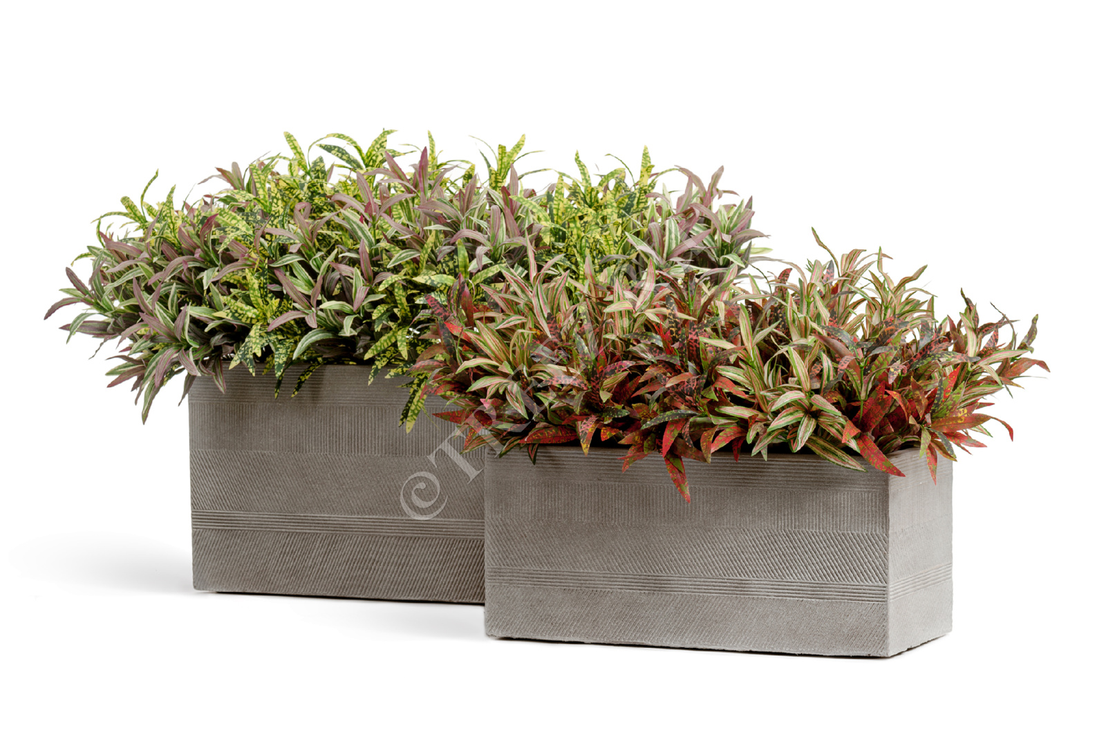 41.1019-0025-LM-60 Кашпо  ERGO - серия Graphics - Низкий прямоугольник - Капучино Цветочная коллекция  - Вид №4