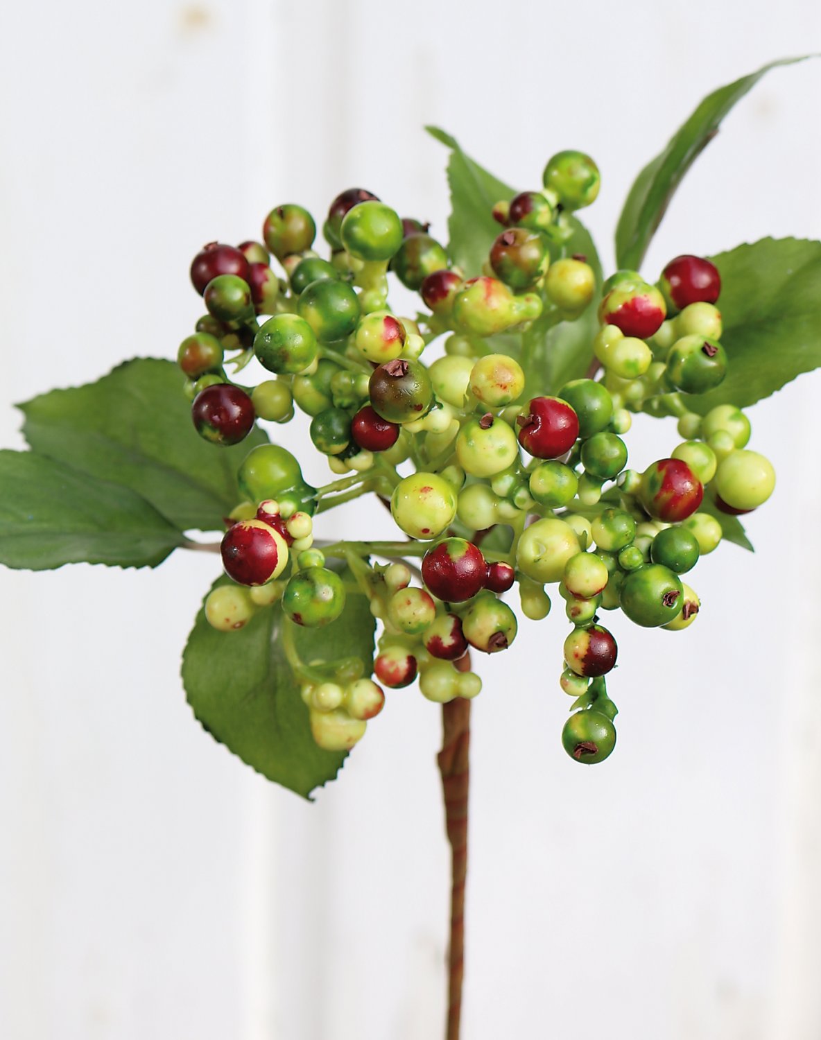 1551 844 a3 Искусственные ягоды на палочке, 30 см, зелено-красные H-andreas  - Вид №1