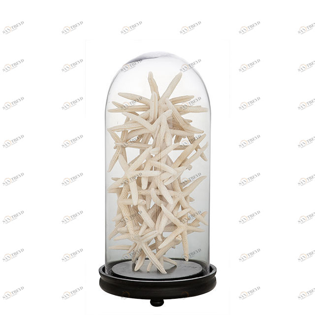 Статуэтка декоративная стеклянная 60х24 см прозрачная Bell Jar Catania EICHHOLTZ EICHHOLTZ 059700 Прозрачный;черный 