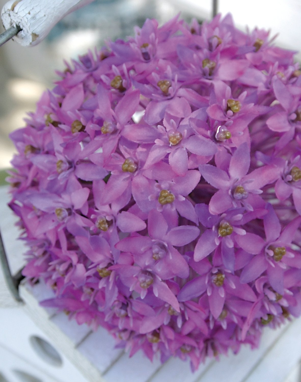 3527 222 a3 Искусственный лук, 80 см, темно-фиолетовый H-andreas  - Вид №3