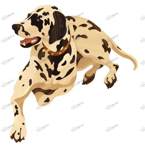 Художественный паркет Da Vinci Паркетный Декор 26-009 Долматинец Дуб Селект (Гладкая) 950х600 мм 26012009