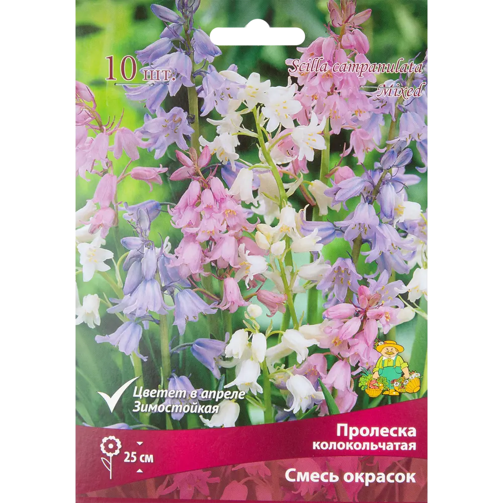 Пролеска колокольчатая Смесь окрасок - луковицы многолетние 10 шт 88294992 Santreyd STLM-1584638