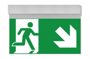 DST-1557 Ikus 320-t Daisalux Светильники сигнальные Серебристо-Серый