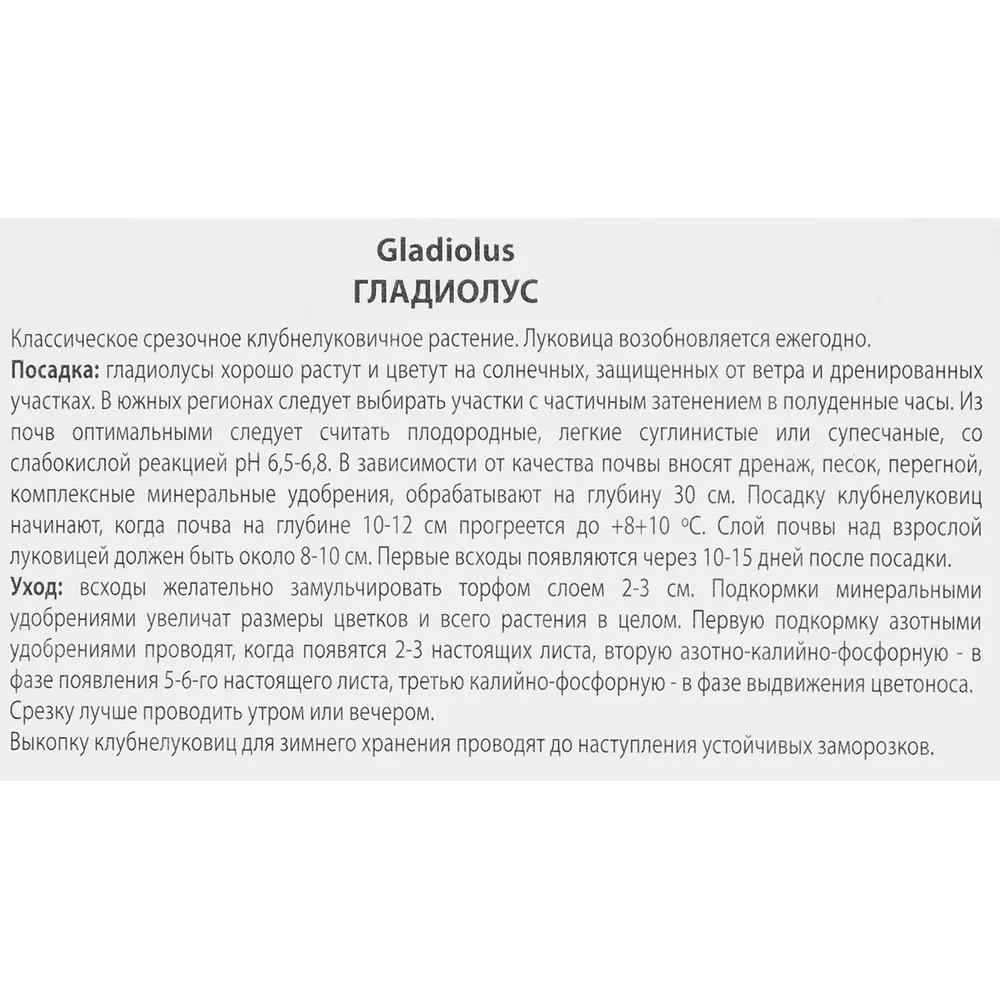 Гладиолус крупноцветковый Макарена, 3 шт 86410026 STLM-2004096 ПОИСК  - Вид №2