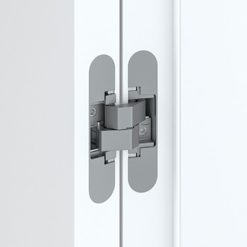 Петля скрытого монтажа Anselmi mod.160 3D ALU Santreyd LK01-838 - Вид №1