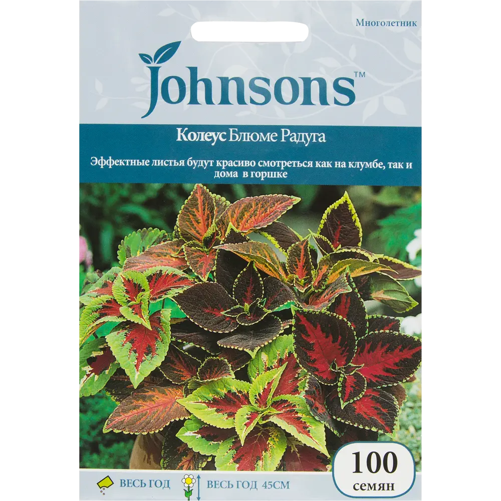 Колеус Блюме «Радуга» 100 шт. 14384789 STLM-2155293 JOHNSONS 