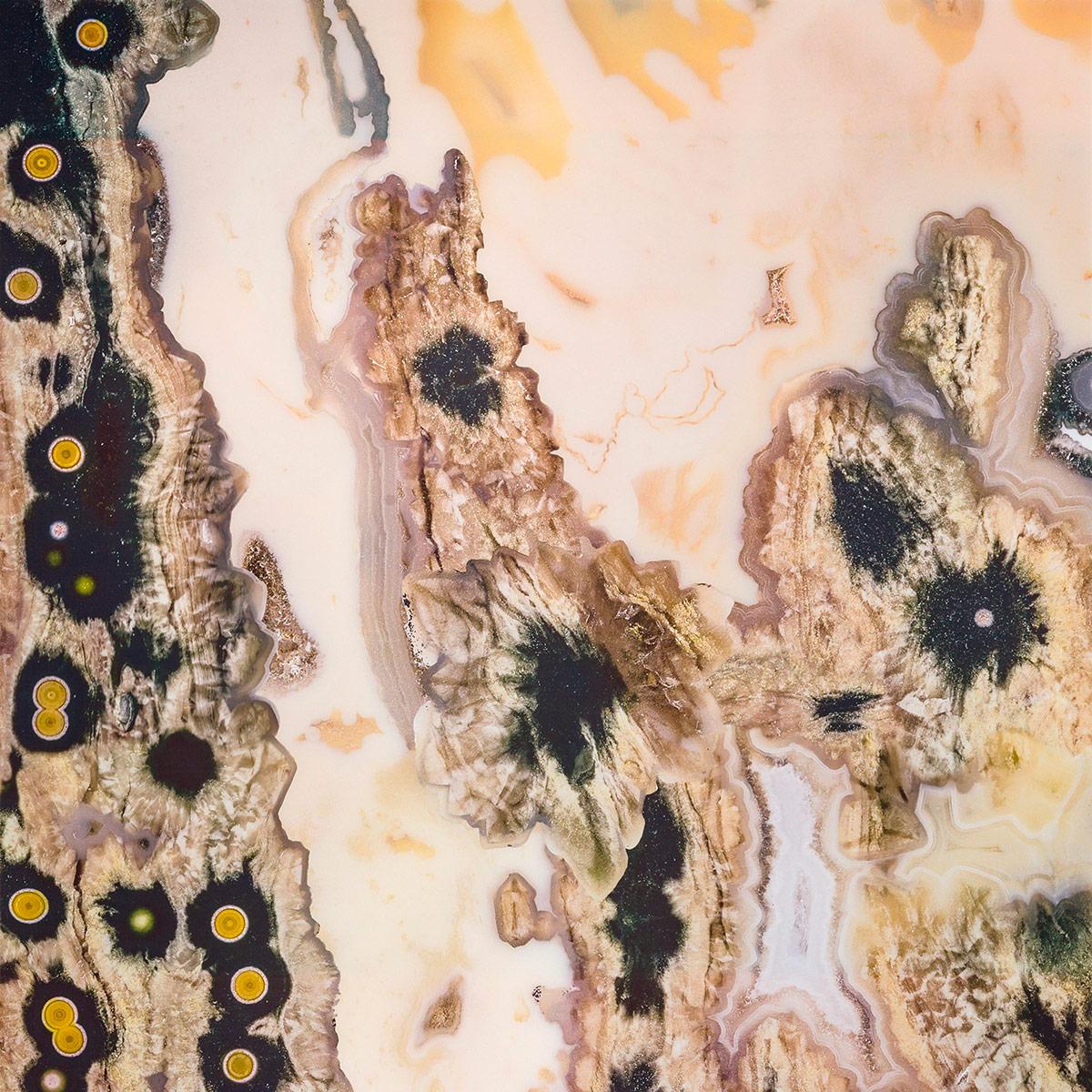 SICIS Dragon Jurassic Brown Vetrite sun-id-1991171 - Вид №2