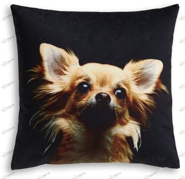 Koziel Квадратная подушка  9997-62 