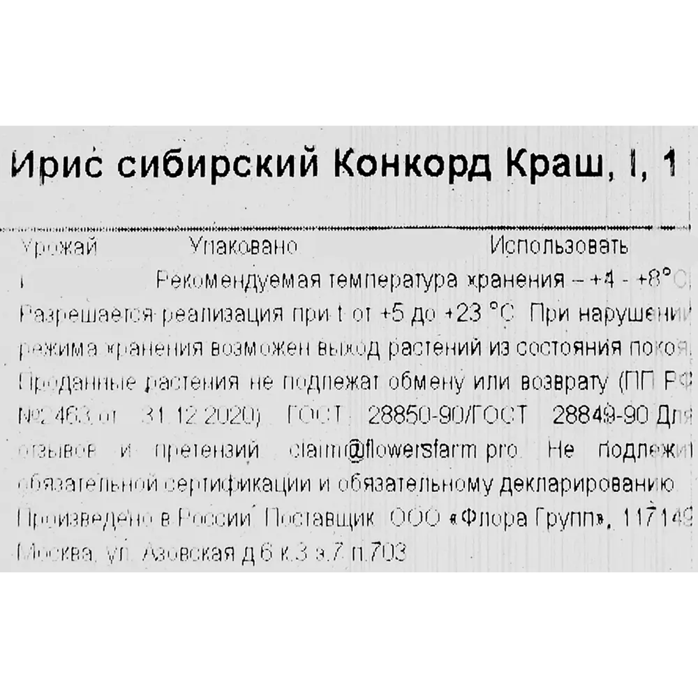 Ирис сибирский Конкорд Краш 86735680 STLM-2007709 Santreyd  - Вид №2