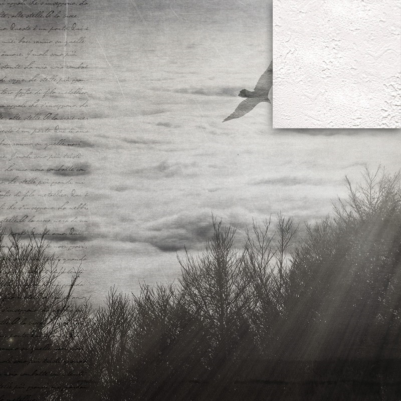 WP02008A Обои декоративные Adriani e Rossi  - Вид №4