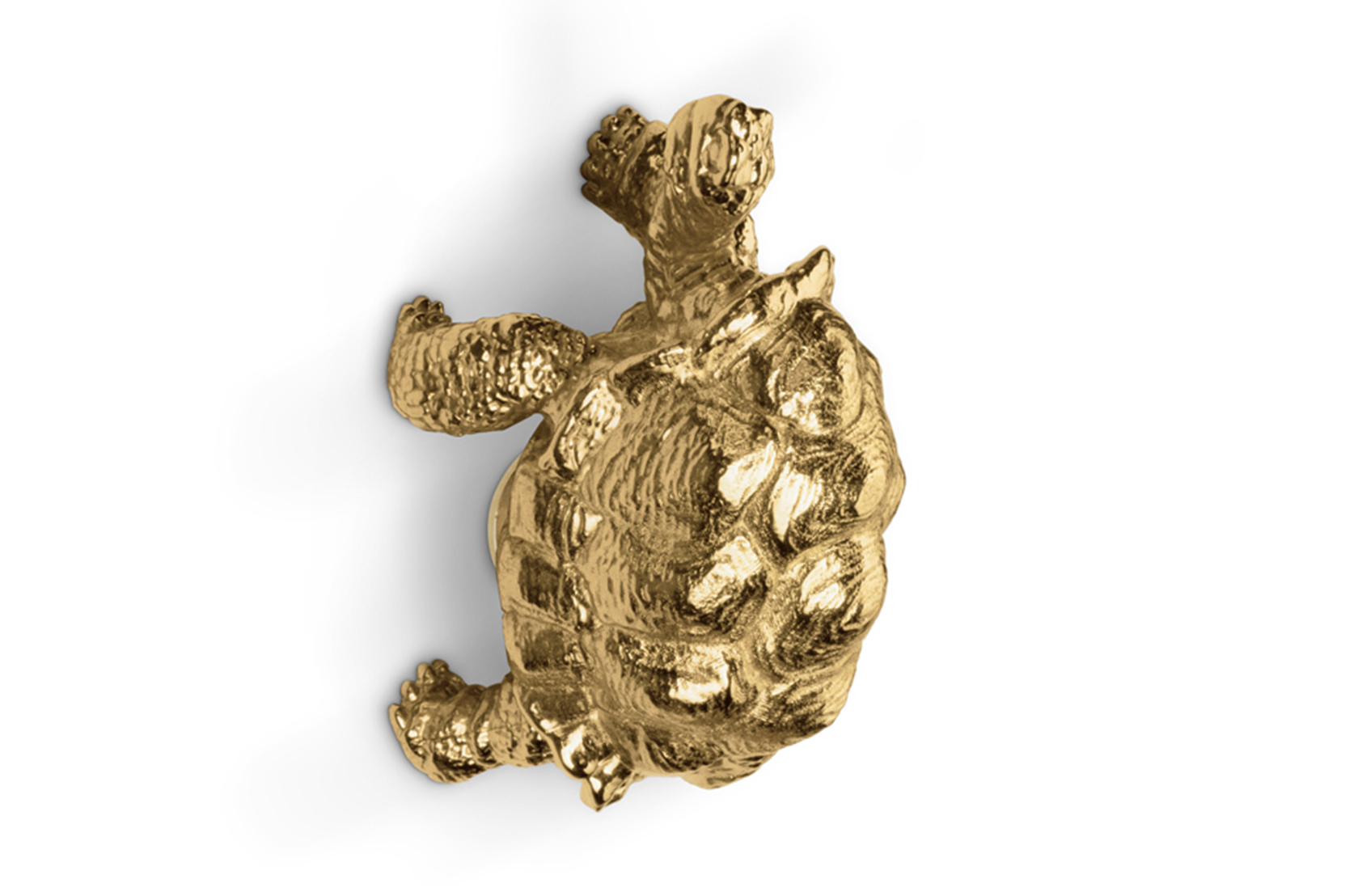 CIST830 Мебельные ручки Черепаха Circu  - Вид №1