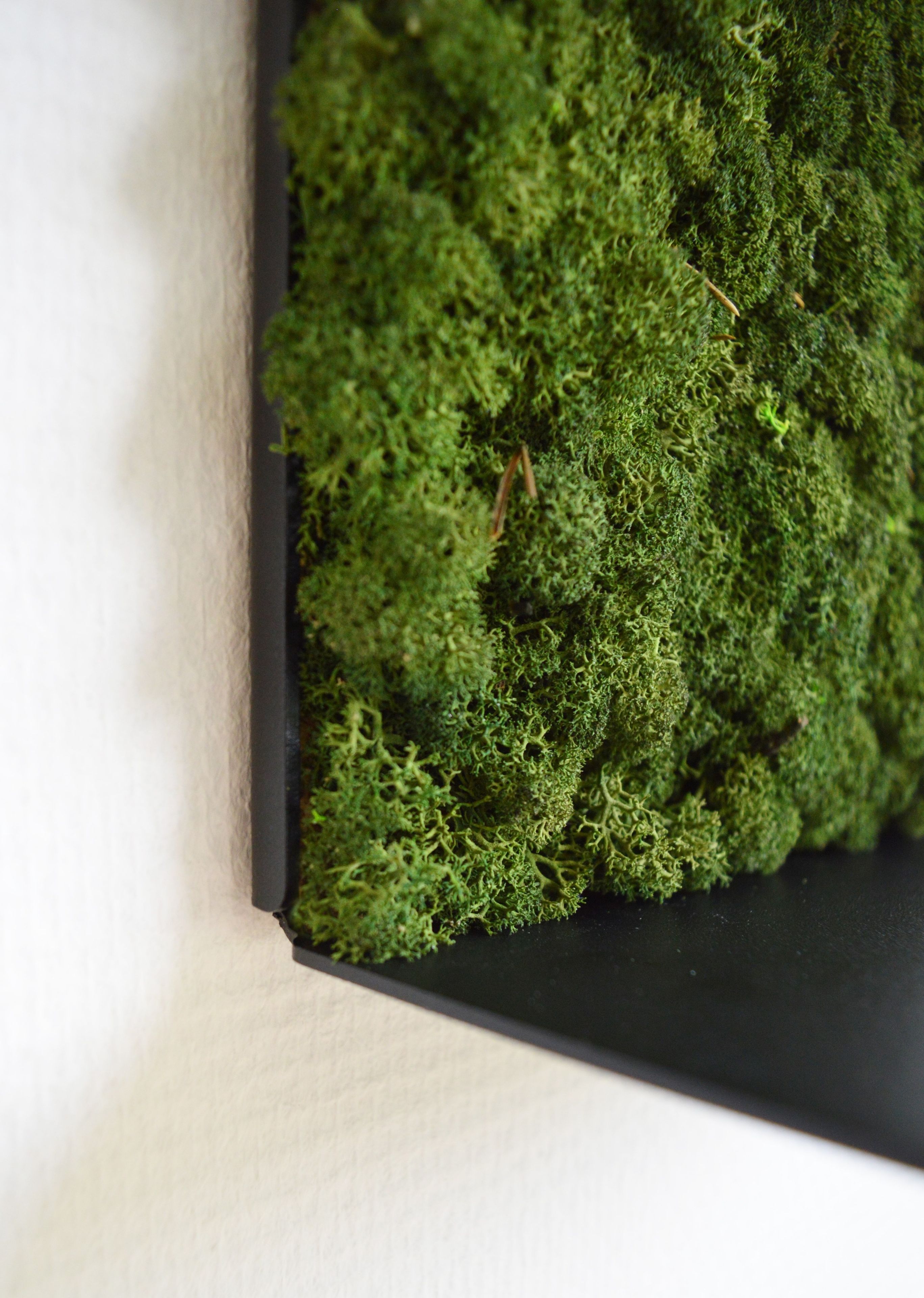 Звукопоглощающая полка из мха GREENMOOD ORIGAMI ARCH-00074294 - Вид №12