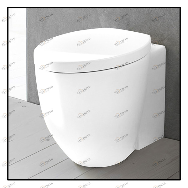 LGVA Приставной унитаз напольный Белый Ceramica Cielo Le Giare Италия