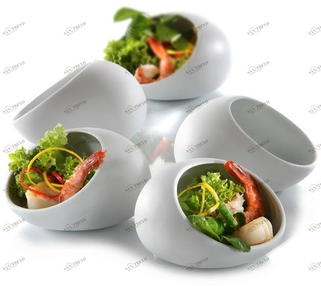 Zieher Фарфоровая чаша  4375.01pb 