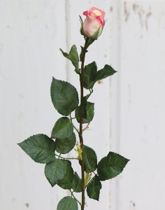 3248 755 a2 Искусственные бутоны роз, 75 см, бежево-розовые H-andreas