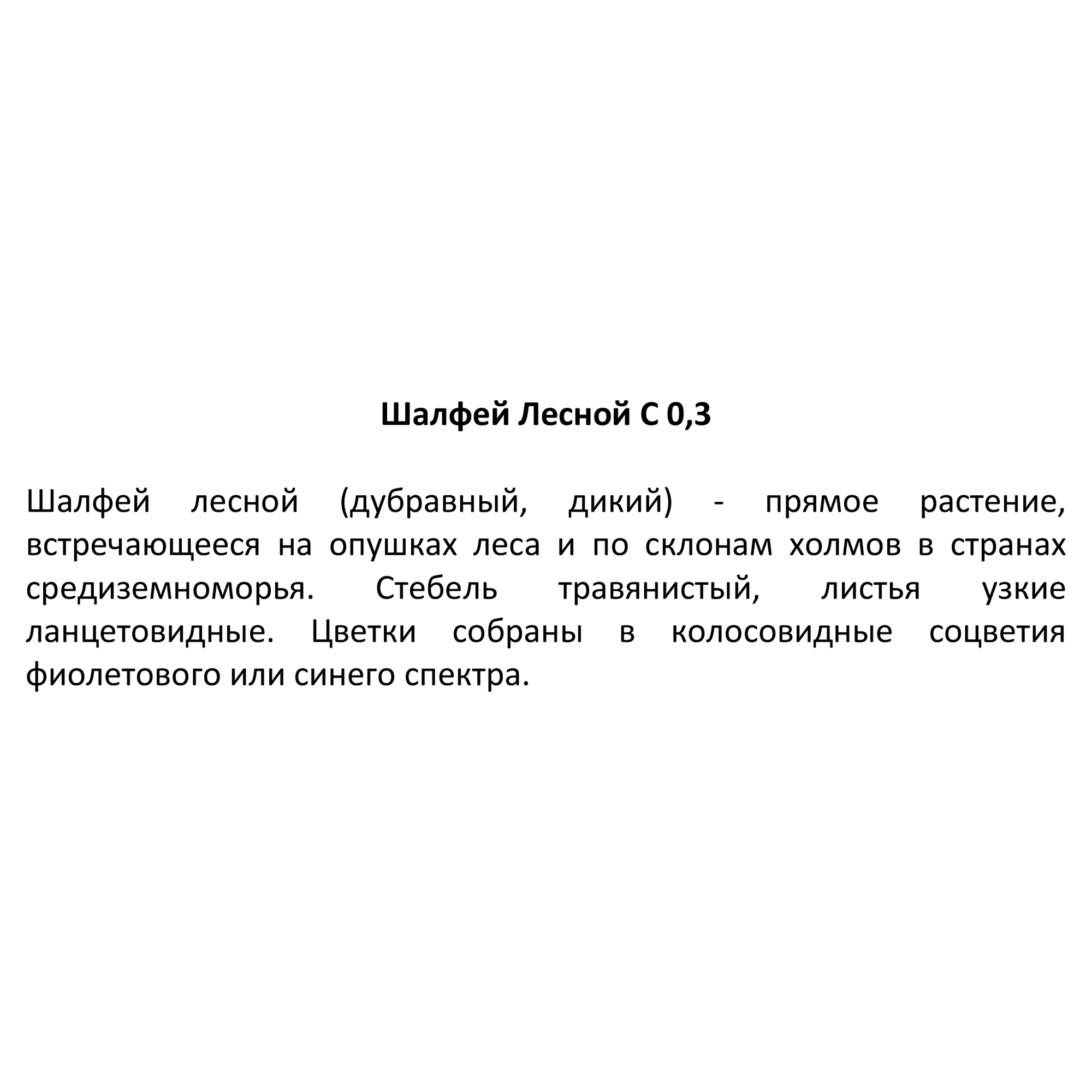 Шалфей лесной Santreyd - ароматная многолетняя рассада с сиреневыми соцветиями 84845152 STLM-0055996 - Вид №2