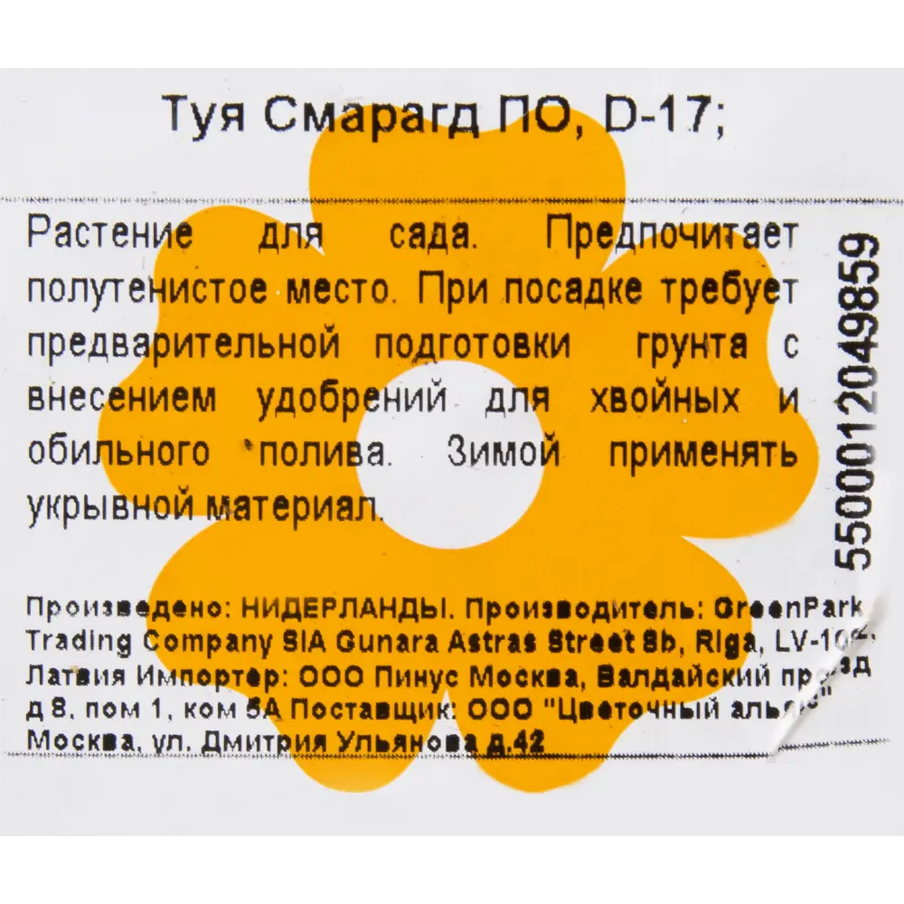 Туя западная Смарагд Santreyd - вечнозеленый кипарисовый аристократ 11297153 STLM-0955690 - Вид №1