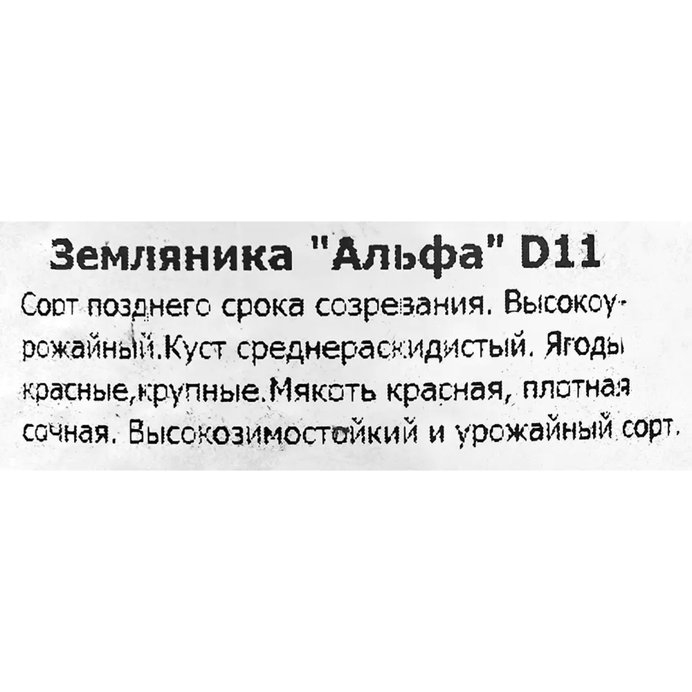 Земляника ремонтантная Альфа 11x15 см 83597596 STLM-2128812 Santreyd  - Вид №1