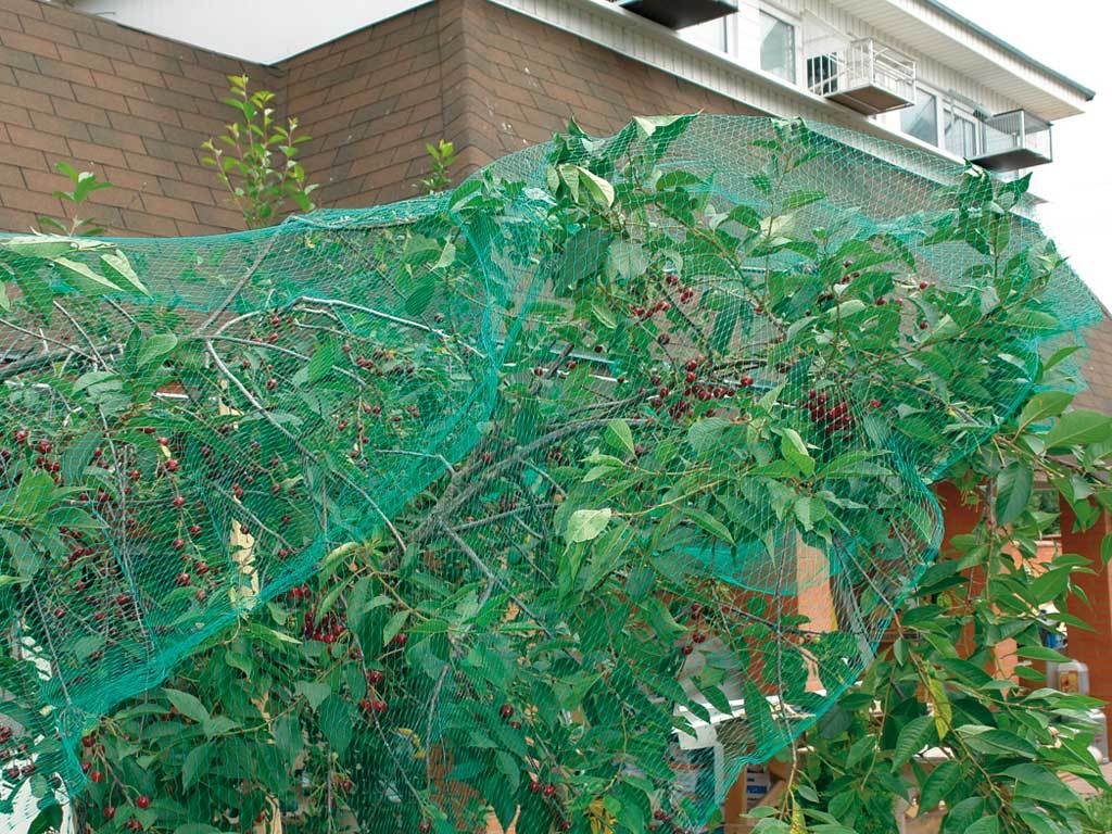 Сетка от птиц 2*5 м ГеоПластБорд GPBST-181 - Вид №5