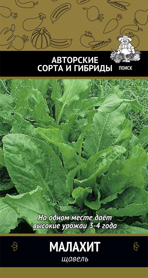 Семена щавеля Малахит от ПОИСК - ранний урожай за 45 дней 83577658