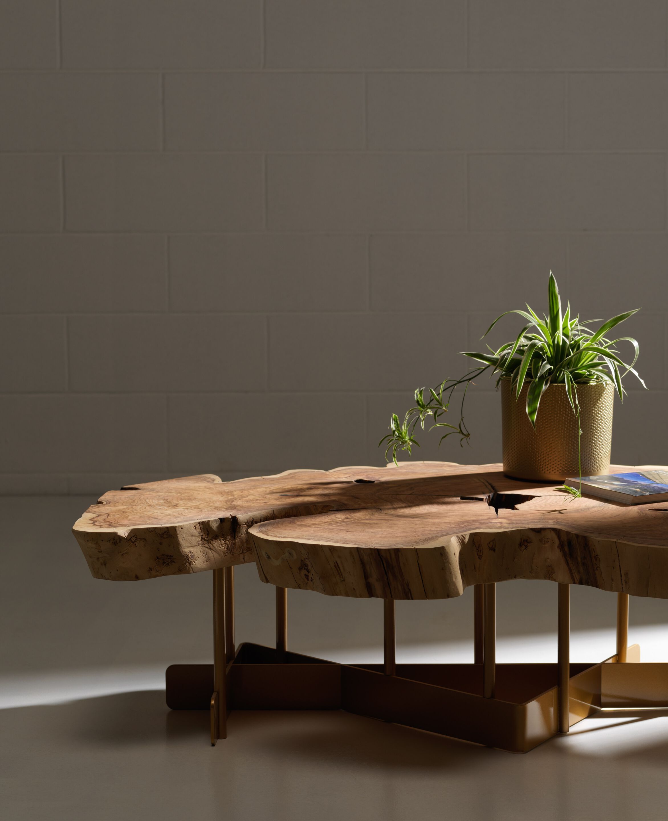 Журнальный столик из оливкового дерева Tabula кофейный столик ARCH-00097584 - Вид №1