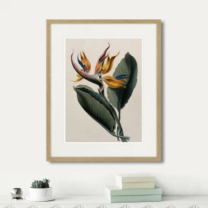 Картина: Exotic plants of the world №4, 1815г. КАРТИНЫ В КВАРТИРУ  264353 Разноцветный