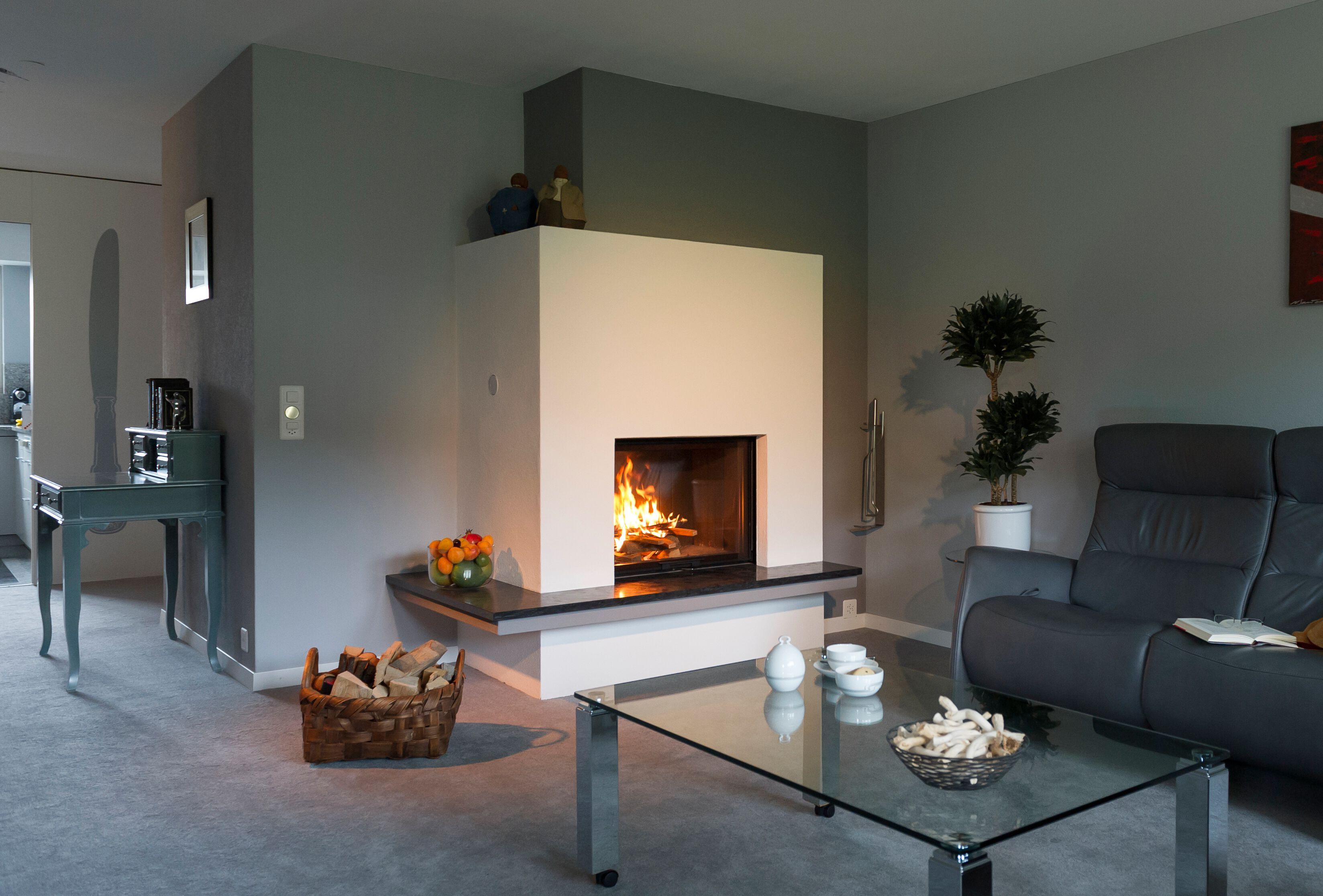 Стальной дровяной камин RÜEGG Скрипка ARCH-00110523 - Вид №2