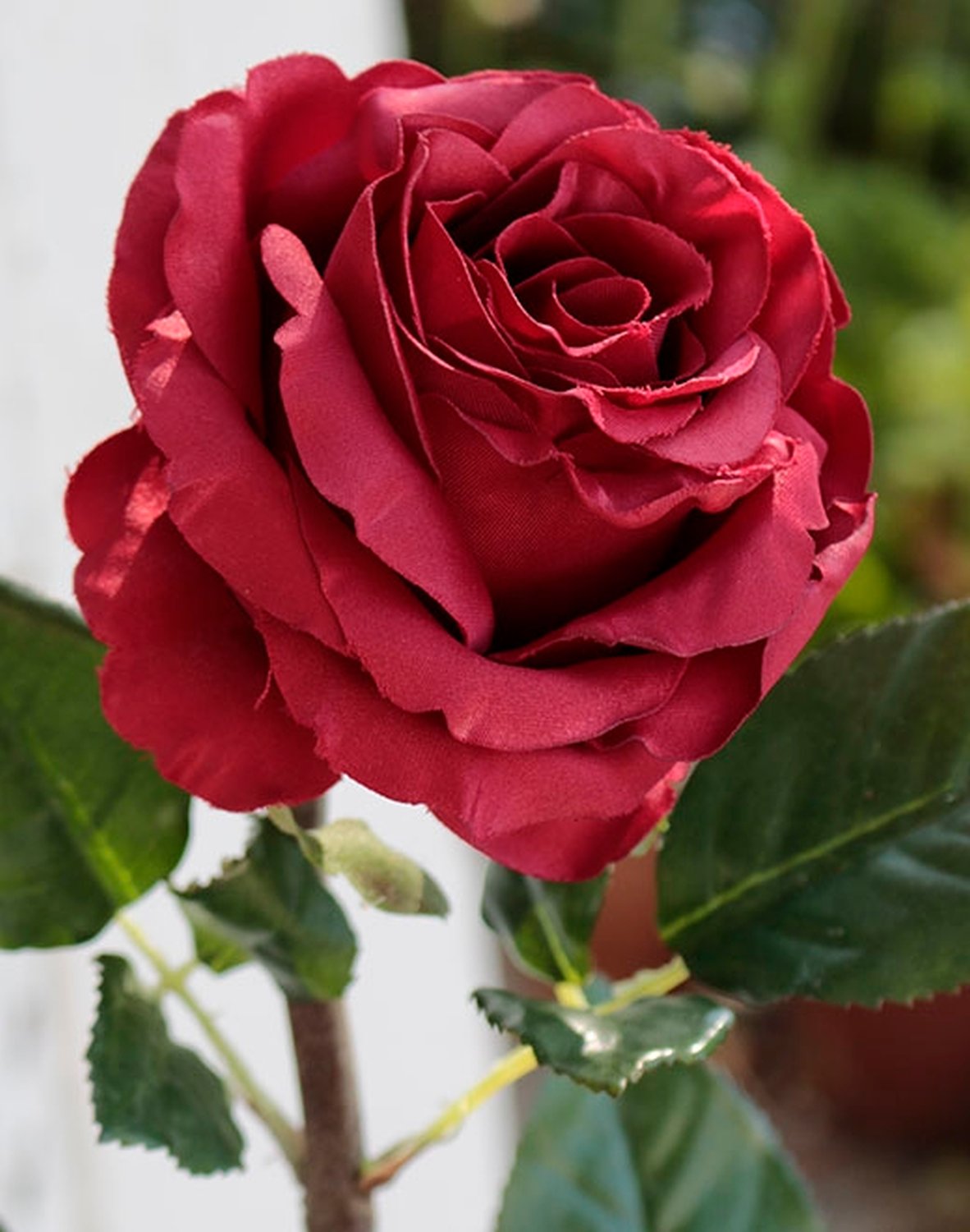 2313 444 a2 Пластиковая роза 'Curiosa', 77 см, красная H-andreas  - Вид №2