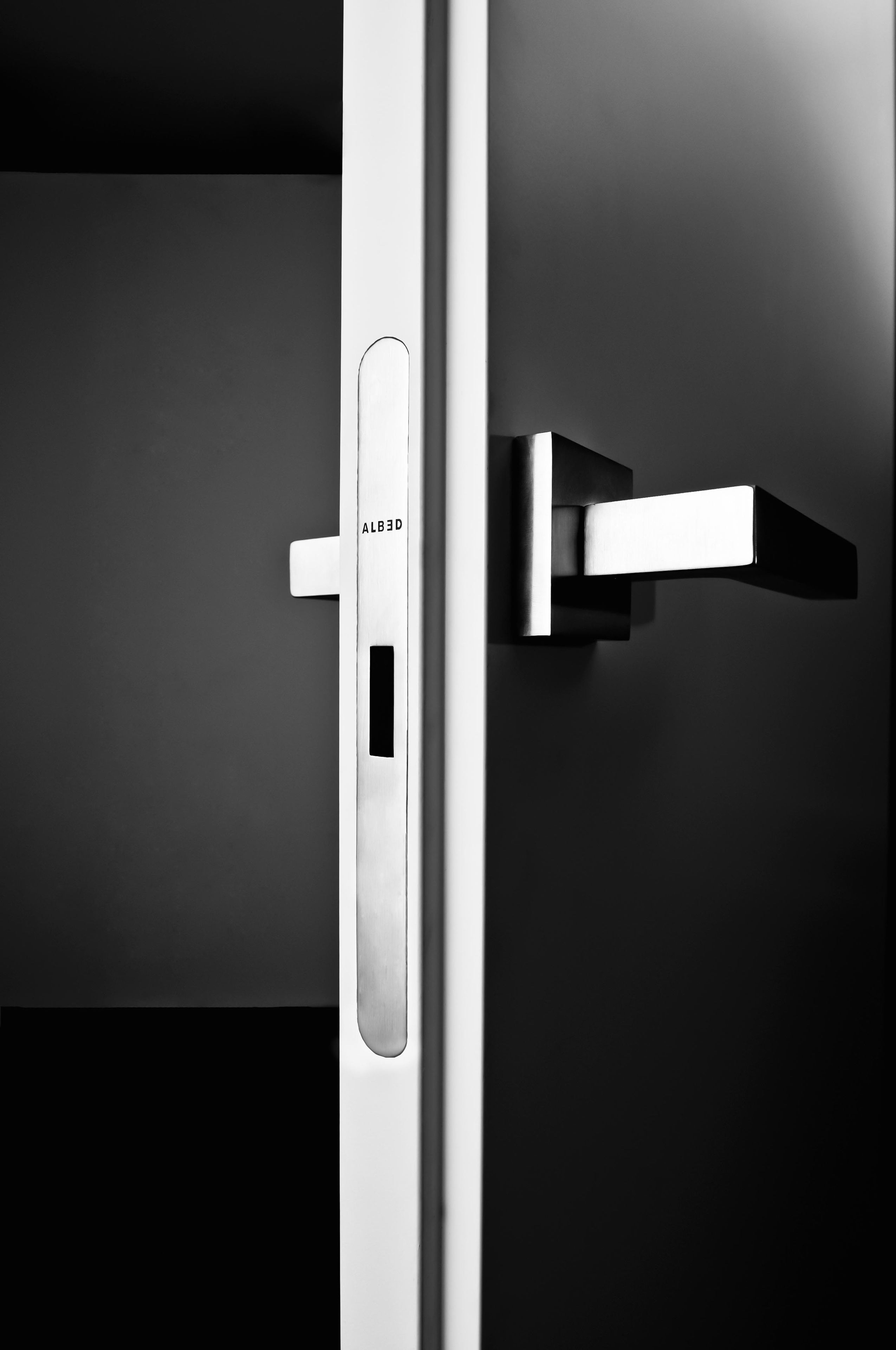 Деревянные стены заподлицо двери ALBED ARCH-00143414 - Вид №6