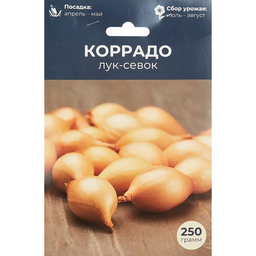 Лук-севок Коррадо луковицы 14/21, 89351041 STLM-2182430 Santreyd 