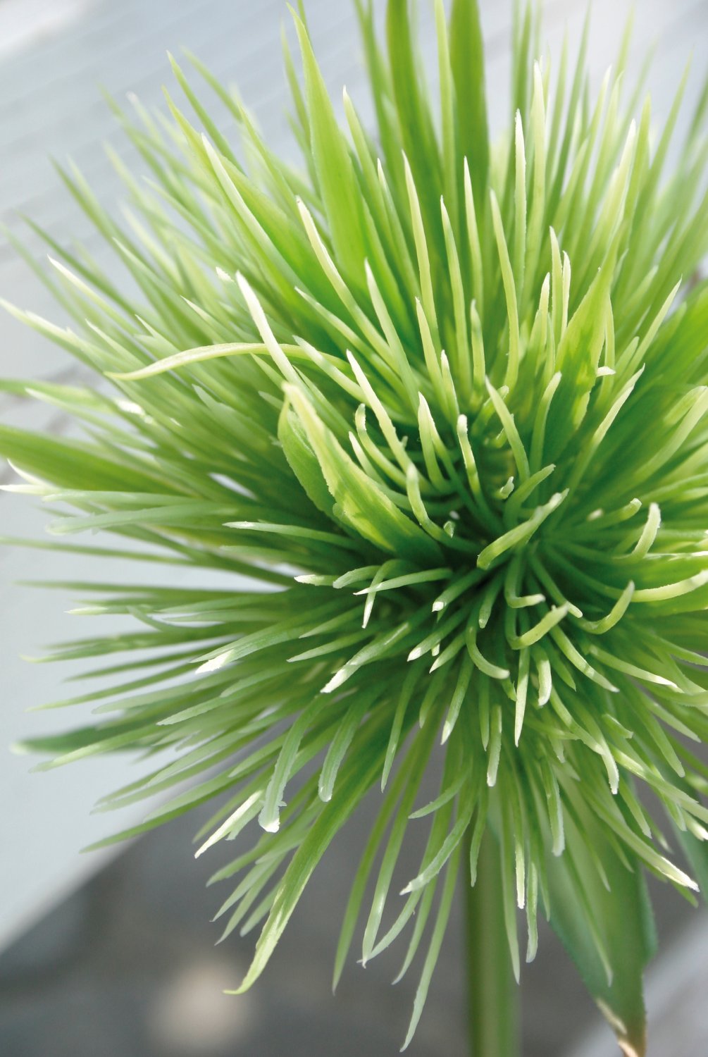 5851 883 a2 Искусственный ковыль китайский, 85 см, зеленый H-andreas  - Вид №2