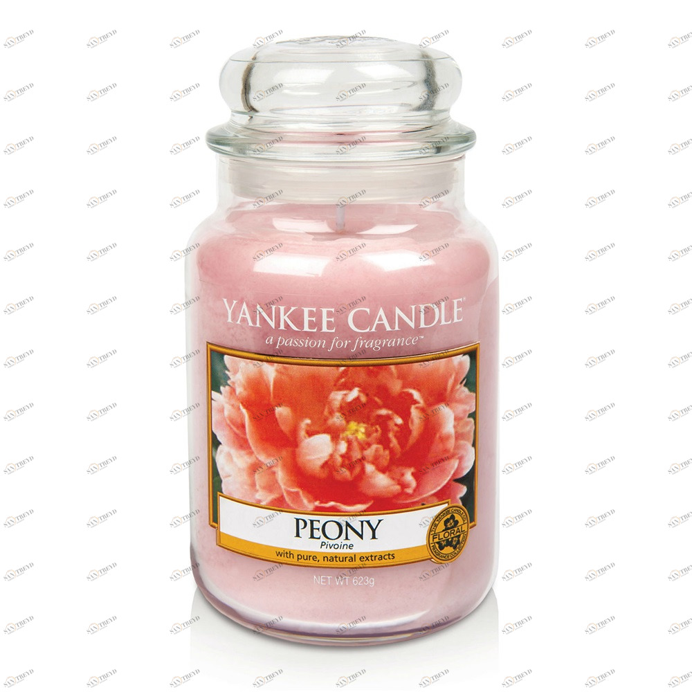 Свеча большая в стеклянной банке "Пион" Peony 623 гр 110-150 часов YANKEE CANDLE  267851 Розовый 
