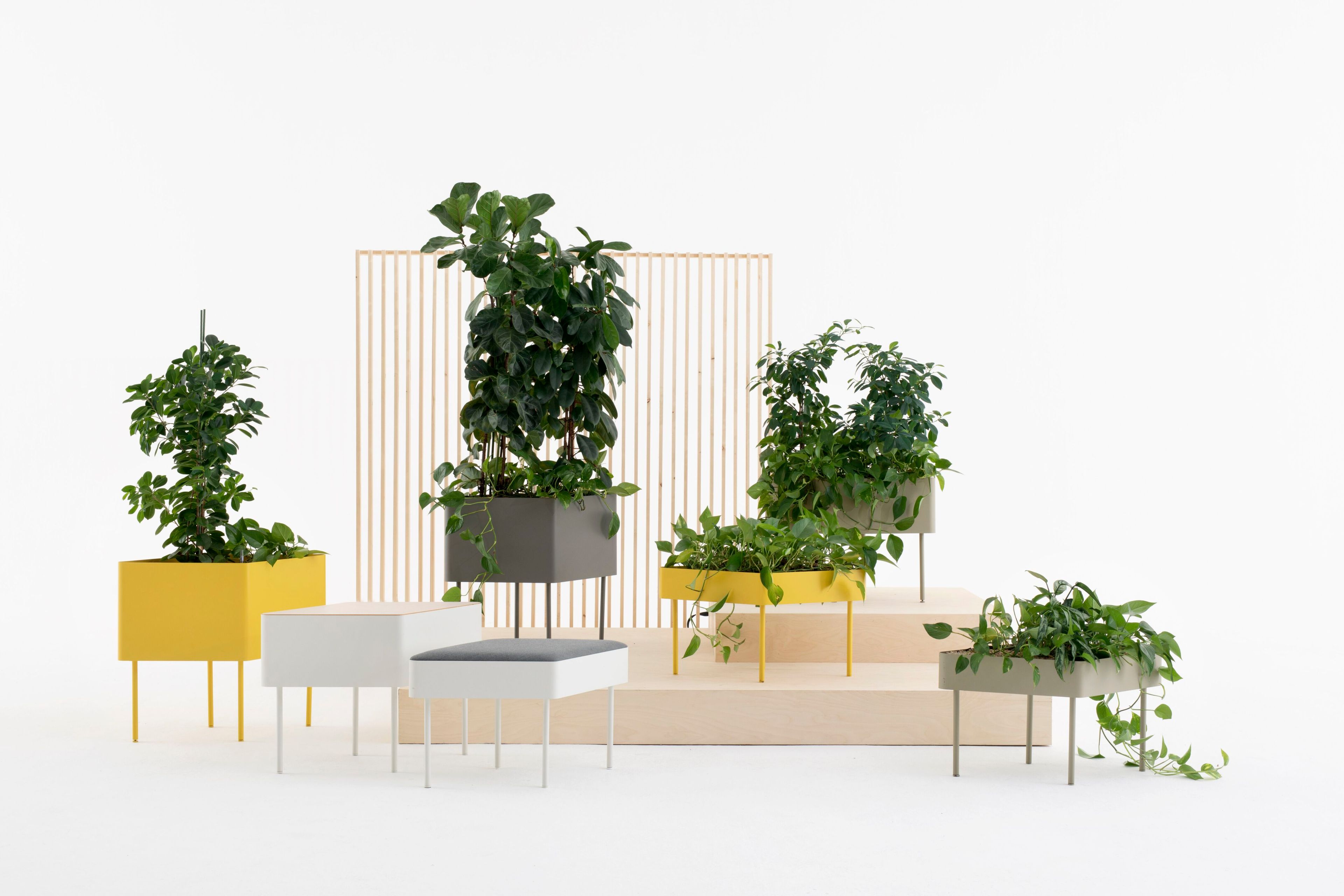 Стальная подставка для горшков с порошковым покрытием Cascando ROMBO ARCH-00071423 - Вид №1