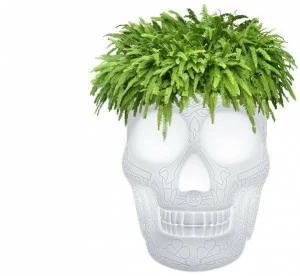 Qeeboo Яркий полиэтиленовый садовый горшок Mexico