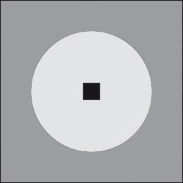 Disco 600 Ghidini Disco .05 Темно-Cерый (Матовый) - Вид №2