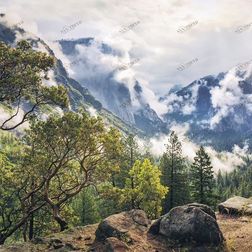 SH007-VD1-Unique-Paradise Фотообои Komar Stefan Hefele 1х2 м SH007VD1UNIQUEPARADISE