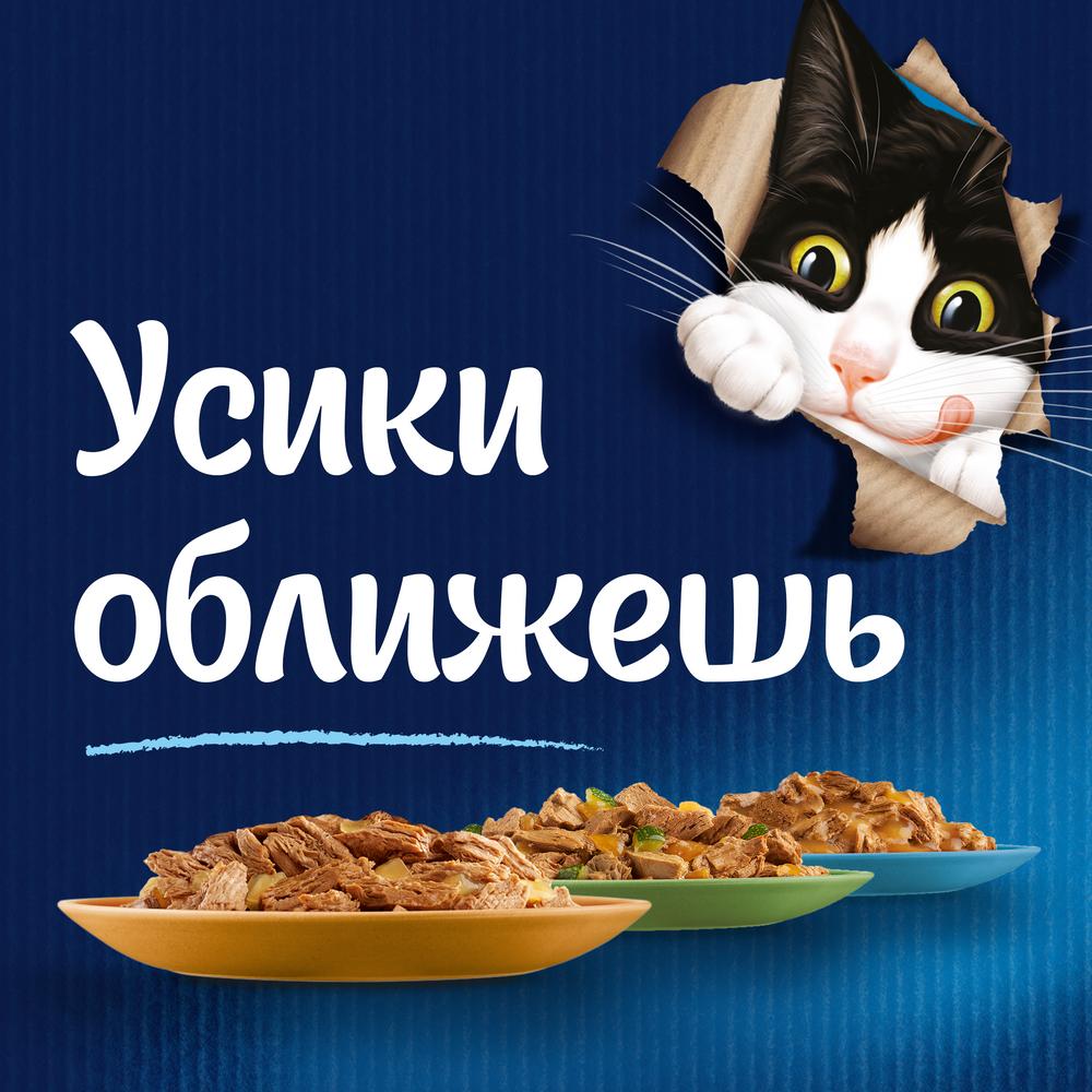 ПР0026298 Корм для кошек Sensations с лососем в желе с добавлением трески, пауч 85 г FELIX  - Вид №2