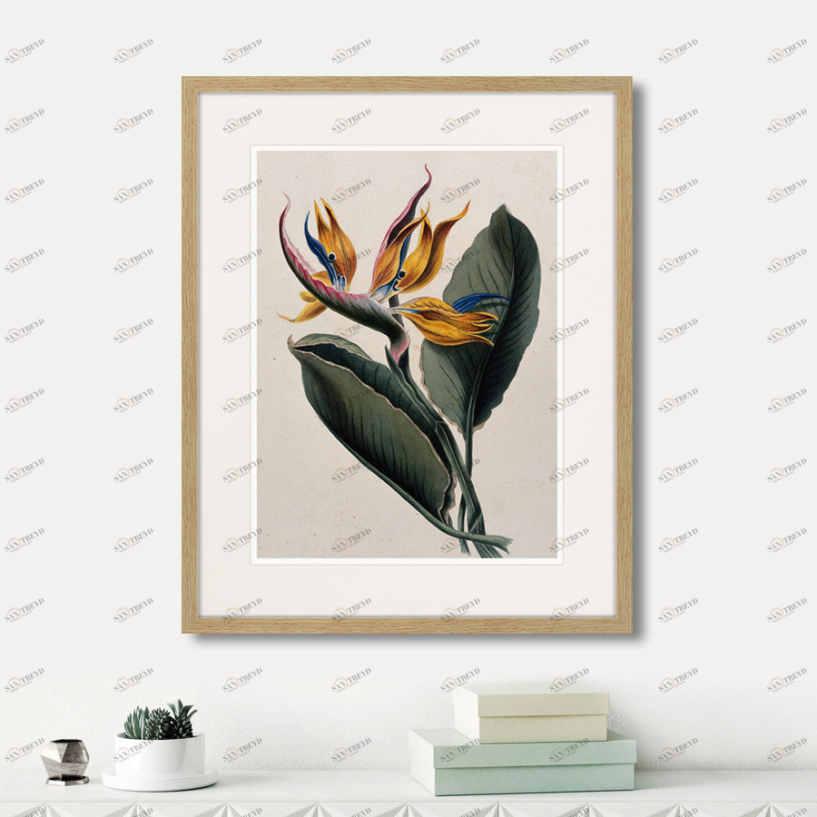 Картина: Exotic plants of the world №4, 1815г. КАРТИНЫ В КВАРТИРУ  264353 Разноцветный 