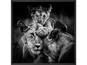 Печать фотографий на бумаге