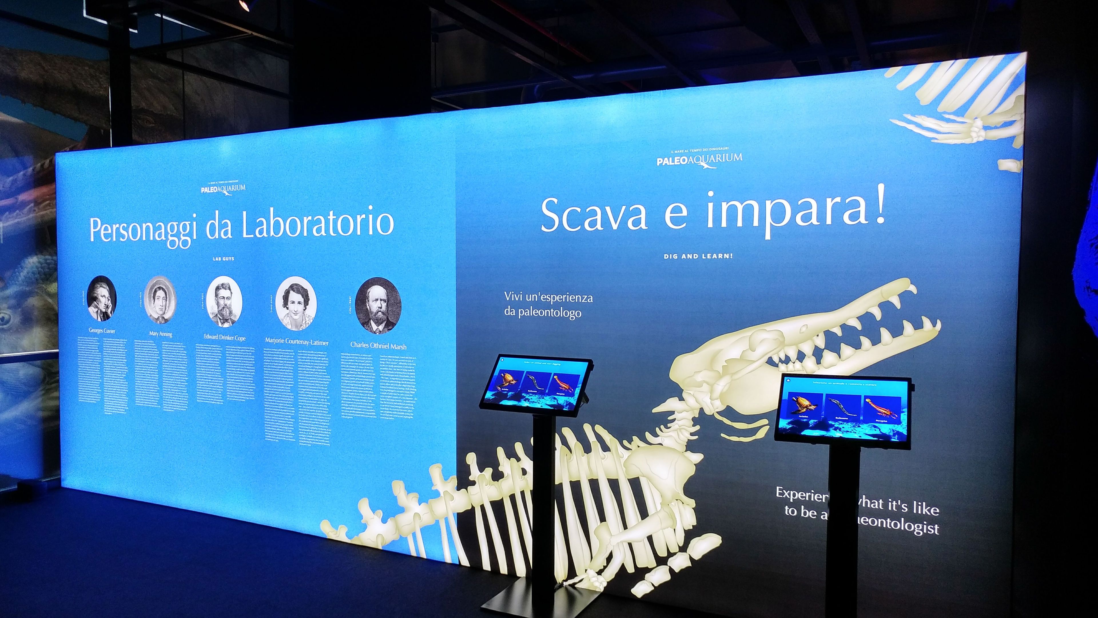 Алюминиевая и тканевая система для музейной отделки ABS Group ALLESTIMENTI PER MUSEI ARCH-00107562 - Вид №2