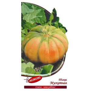 Семена тыквы Мускатной AGRONI - среднеранний сорт для домашнего огорода 89400867